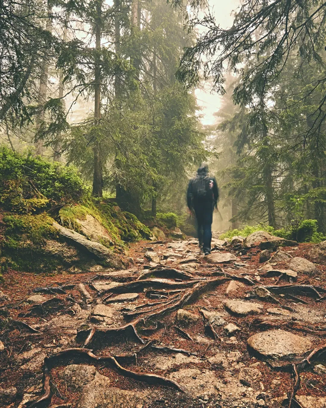 Ein Mensch geht allein auf einem Waldweg im Nebel